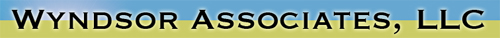 Wyndsor Associates